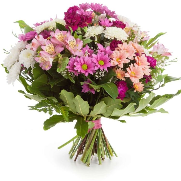 Милый от 5 400 руб.